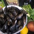 MEJILLONES BELGAS