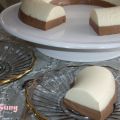 BAVAROIS DE VAINILLA Y CHOCOLATE