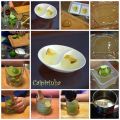 Gelatina de caipirinha (Cocina con Ulises)