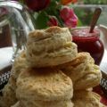 SCONES 2