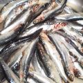 Boquerones en vinagre