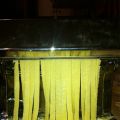 Cómo hacer pasta fresca