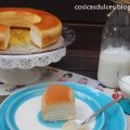 Bizcoflan de Labidú