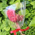 Choco-rosas para Sant Jordi