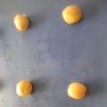 MARINOS, DELICIOSOS PERO CASI DESCONOCIDOS