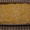 CANELONES DE VERANO