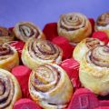 ROLLITOS DE CHOCOLATE (sin azúcar)