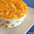 BAVAROIS DE YOGURT Y MANGO