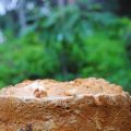 Pandoro Italiano con frutos secos