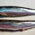 ¿CÓMO LIMPIAMOS LOS BOQUERONES PARA HACERLOS EN[...]