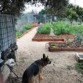 HUERTA DE PERICO 
