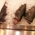 En la cocina: congelar y descongelar pescado