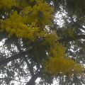 BLOGGER TRAVELLER 2: PASCUA