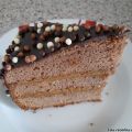 Tarta de chocolate y dulce de leche.