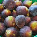Mermelada de higos casera
