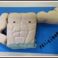 Torso Masculino