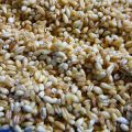 MIX DE VEGETALES - Cocina Hindú
