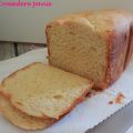 Brioche en Panificadora