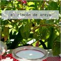 Yogures Naturales (sin yogurtera)