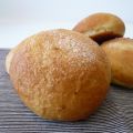 Tortas de aceite