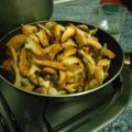 BOLETUS