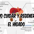 Como cuidar y regenerar el hígado