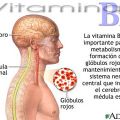 La vitamina B12