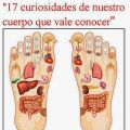 CURIOSIDADES DE NUESTRO CUERPO! Trucos y más...