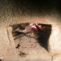 POLLASTRE AL FORN DE LLENYA