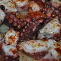 PULPO 