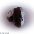 Magdalenas rellenas de chocolate caliente