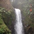 Las Cataratas de La Paz. Fresas y Moras...