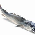Merluza al horno