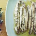 En busca del boquerón perfecto - Parte III