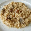 Risotto de setas