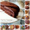Tarta Sacher vegana (Fácil y riquísima)