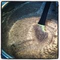 Pastas, magdalenas y tiramisú