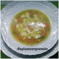 Sopa de Verduras