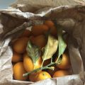 BIZCOCHO DE KUMQUATS O NARANJITAS CHINAS