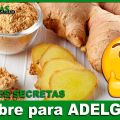 Jengibre para ADELGAZAR: una de sus VIRTUDES[...]