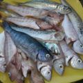 LIMPIEZA SEGURA Y OBSERVACIONES A TENER EN[...]