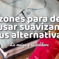 Razones para Dejar de Usar Suavizante y Sus[...]