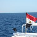Diario de Viajes. Mar Rojo II. El Julliet y la[...]