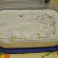 Yogur Griego Familiar De Aloe Vera Deshidratada
