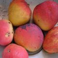 CHUTNEY de Mangos. Receta 2.