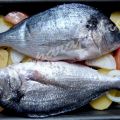 Dorada al horno
