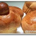 BRIOIX/BRIOCHINES
