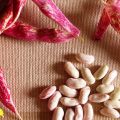 Puchero de judías borlotti y membrillo, y un[...]