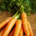 Crema fría de zanahorias