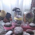 Crinkle cookies